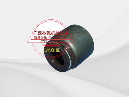 SP101780 氣門(mén)油封